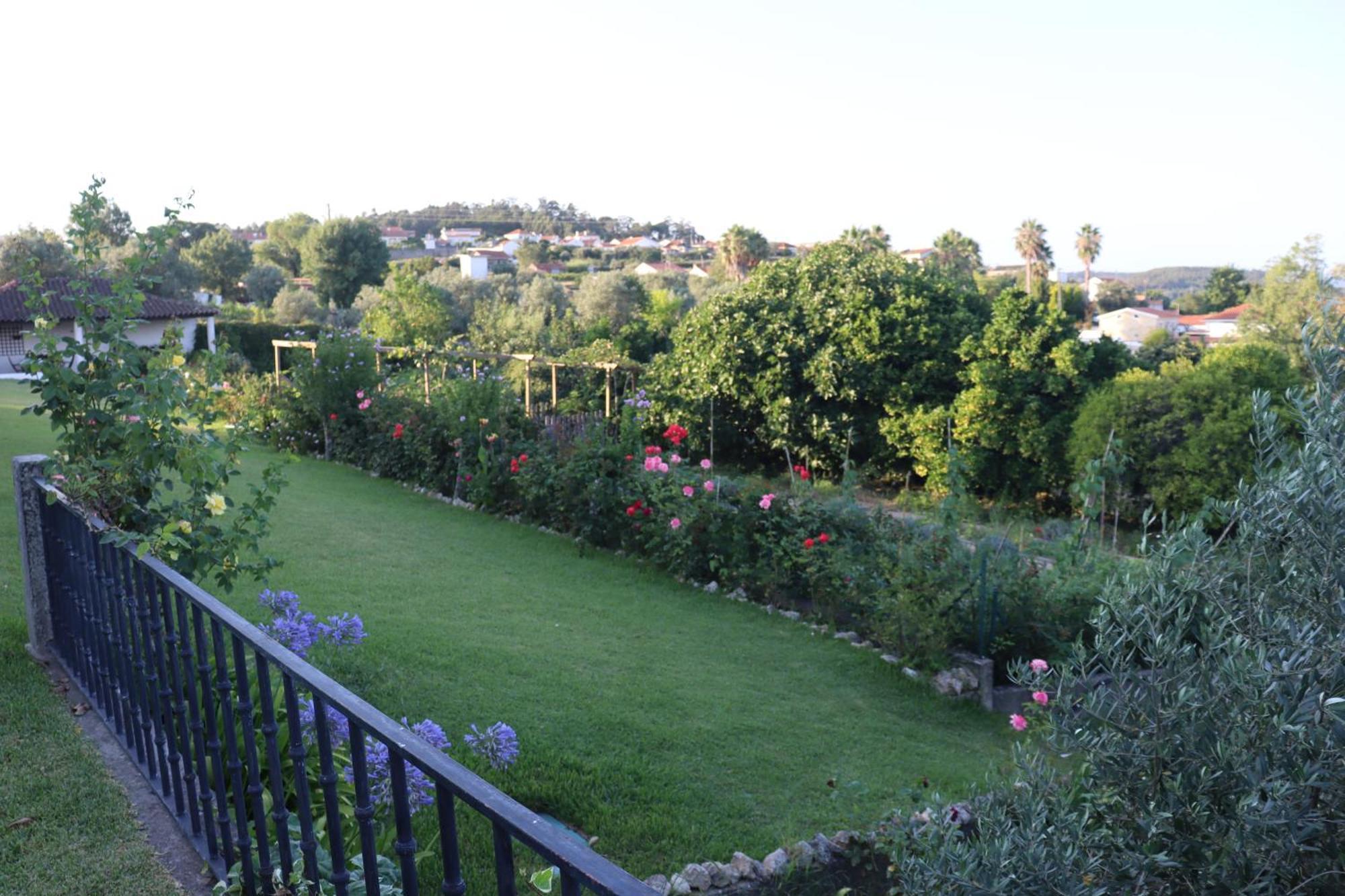 Quinta Do Regalo Coimbra