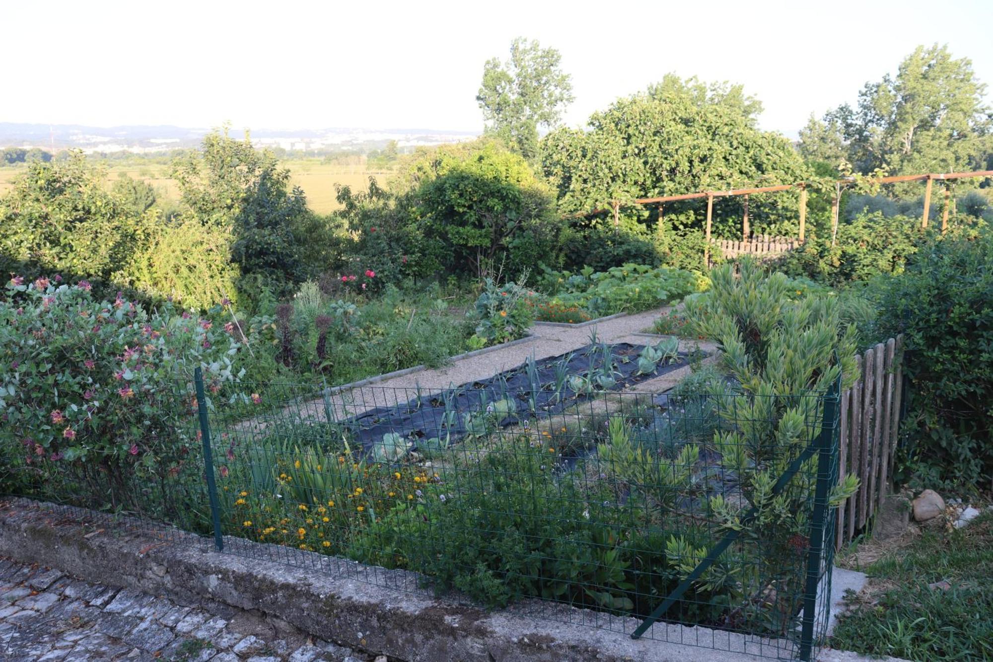 Quinta Do Regalo Coimbra